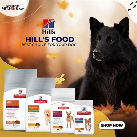 hillsvet|hills dog food website.